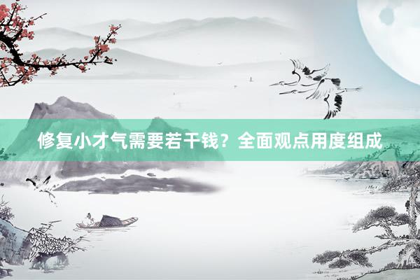 修复小才气需要若干钱？全面观点用度组成