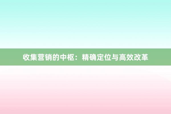 收集营销的中枢：精确定位与高效改革
