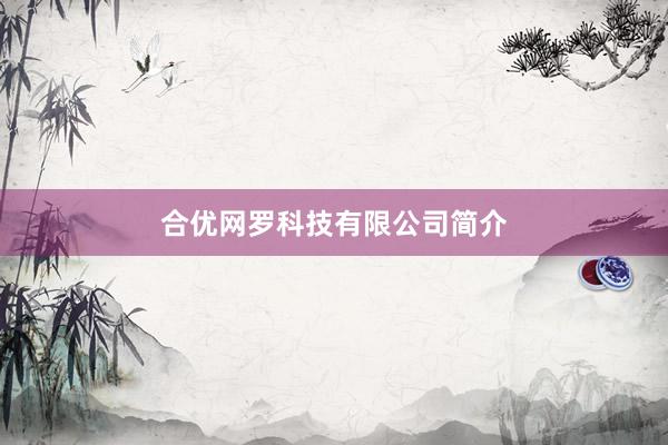 合优网罗科技有限公司简介