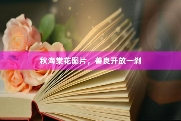 秋海棠花图片，善良开放一刹